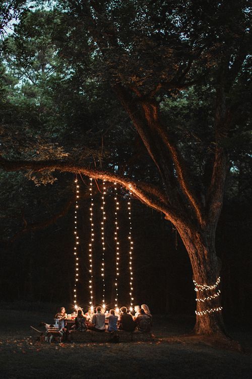 marriage proposal idea with lights decorations
